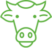 image représentant la tête d'un bovin